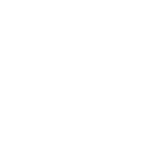 willow-w